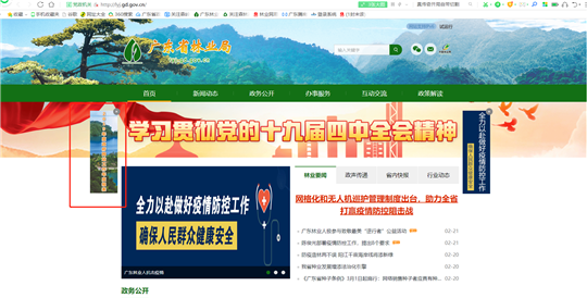 官网弹窗.png
