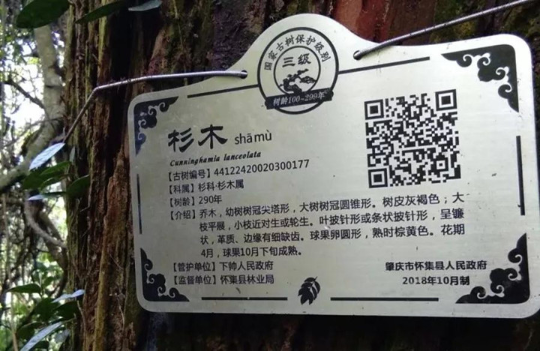 e8607df4e17d4e0cabbccf3768134e13.jpg