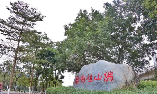 微信图片_20190626180328.jpg