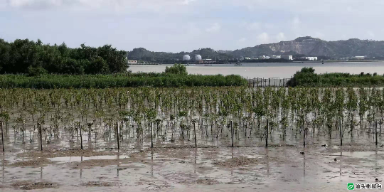 已编辑图片