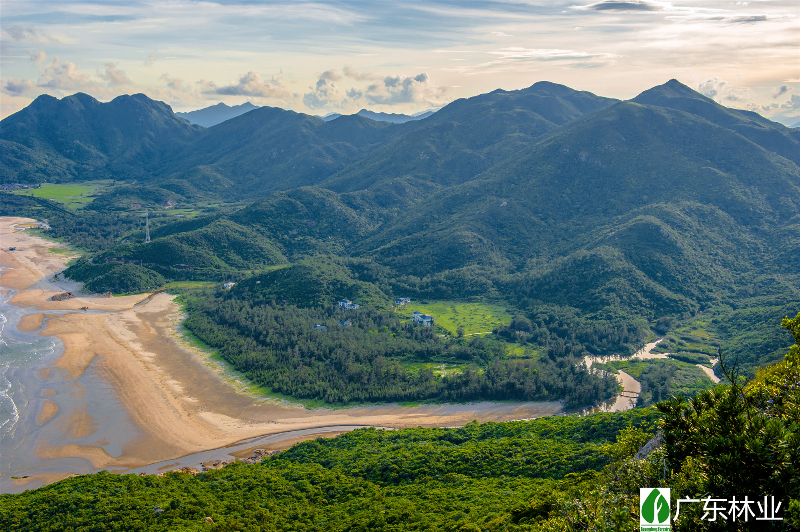 广东台山上川岛保护区试验区全景_副本.jpg