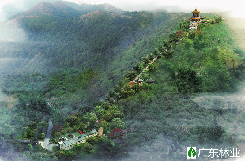 银瓶山紫烟阁景区效果图_副本.jpg
