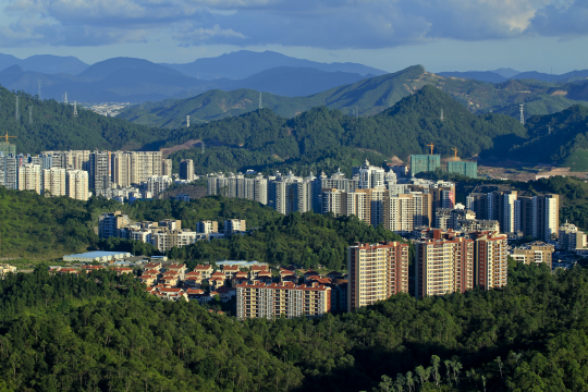 惠州市森林进城.jpg