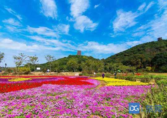 清溪三中村入选首批国家森林乡村