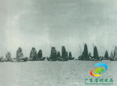 1950年4月16日，人民解放军发起大规模渡海战役，强渡琼州海峡。5月1日，海南全岛解放。