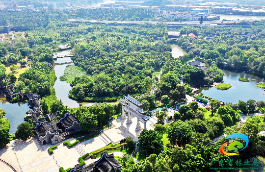 广州城央的海珠湿地2.jpg