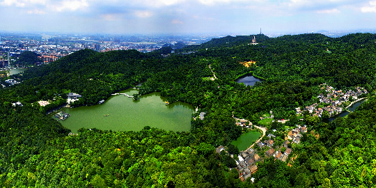 西樵山国家森林公园森林康养基地 - 副本.jpg