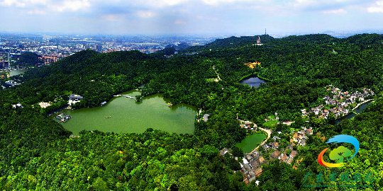 西樵山国家森林公园森林康养基地 - 副本.jpg