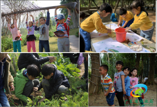 得窝青少年素养游学营地开展的“生命奥妙”自然植物科普活动。通讯员 林荫 供图