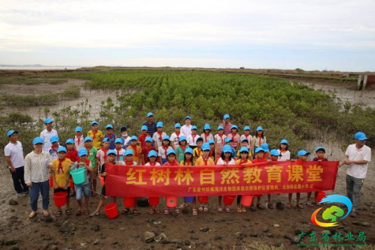 广东雷州珍稀海洋生物国家级自然保护区开展红树林自然教育活动。通讯员 林荫 供图