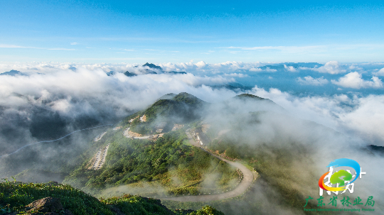 广东最高峰石坑崆。摄影 罗彪