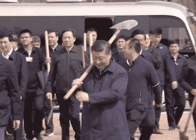 微信图片_20190409093144.gif