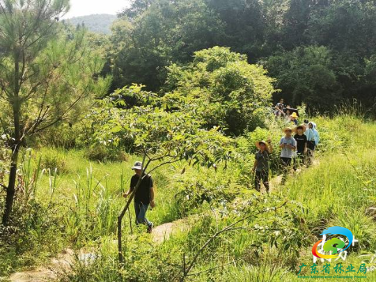 华南农业大学南粤古驿道植物资源研究中心吴永彬老师带领学生在西京古道（乐昌段）开展植物调查。省林业局供图