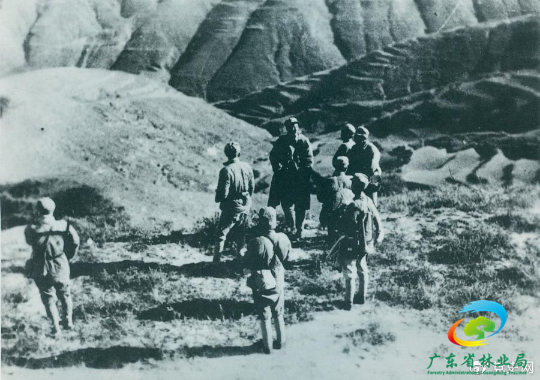 　　1937年11月，八路军第一一五师、一二九师主力在正太路以南广阳地区侧击西犯之敌，给日军以沉重打击。图为徐向前（正面中立者）在前线指挥战斗。