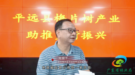 平远县推出梅片树发展新政策