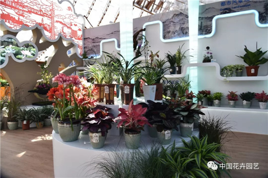 广东展区“榕树下美丽广东”，分为门面形象区、园艺展示区和多媒体互动区2.webp.jpg