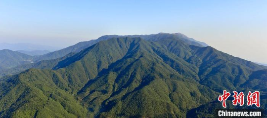 广东设立林长制研究中心推动建设南粤秀美山川