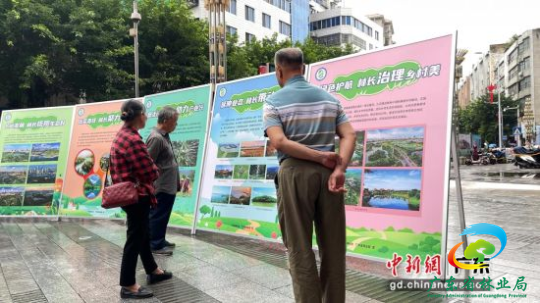 民众观看宣传展板。广东省林业局 供图