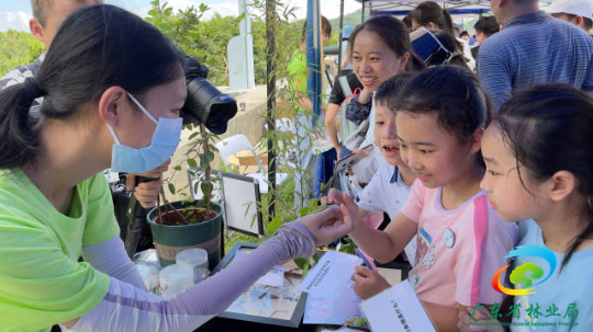 在自然教育老师的引导下，学生们第一次摸到毛毛虫，实地学习蝴蝶知识。