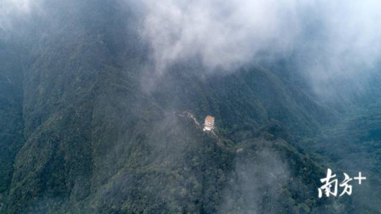 地处南岭山脉的广东南岭国家级自然保护区云雾缭绕，是亚热带常绿阔叶林和珍稀濒危野生动植物的栖息地。