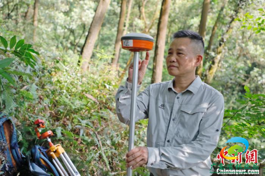 林勘技术人员使用专业设备开展样地监测调查 陈楚红 摄