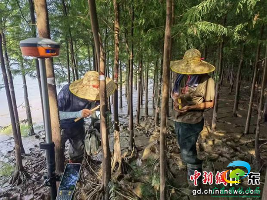 广东省林业调查规划院供图