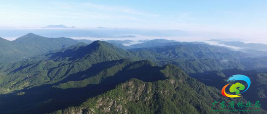 广东平远龙文—黄田省级自然保护区林海景观。