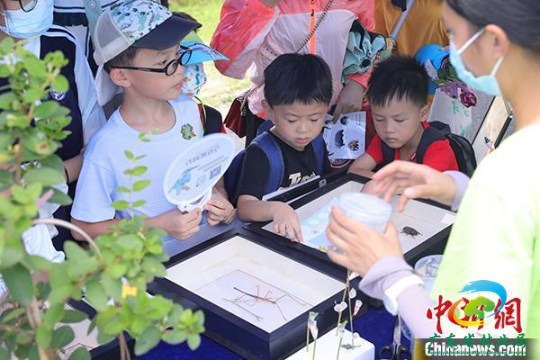 第三届粤港澳自然教育季“仲夏自然教育开放日”活动现场 广东省林业局 供图