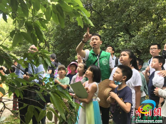 自然教育导师带领学生认识植物的特点 广东省林业局 供图