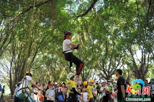 学生在广州海珠国家湿地公园开展攀树体验 广东省林业局 供图