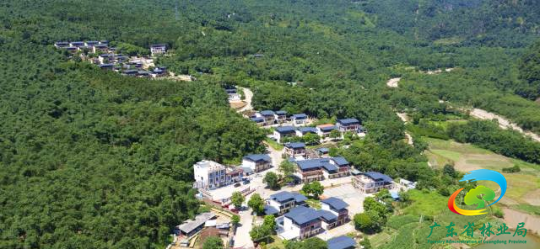 联山瑶族村有森林面积10.8万亩，其中生态公益林面积有9.7万多亩，森林覆盖率达到98%。陈咏怀 摄