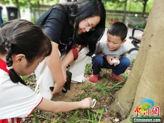 民众在广东清新白湾省级自然保护区开展自然观察活动 广东省林业局 供图