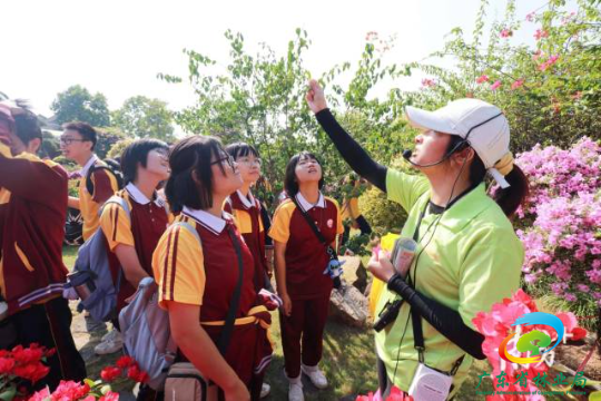 广东省优秀自然教育课程：认识岭南花卉，探索花中仙子——宝巾花。