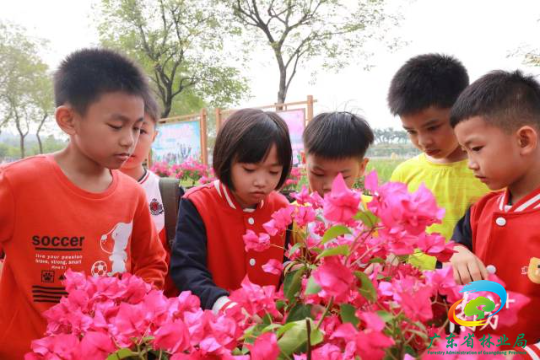 广东省优秀自然教育课程：认识岭南花卉，探索花中仙子——宝巾花。