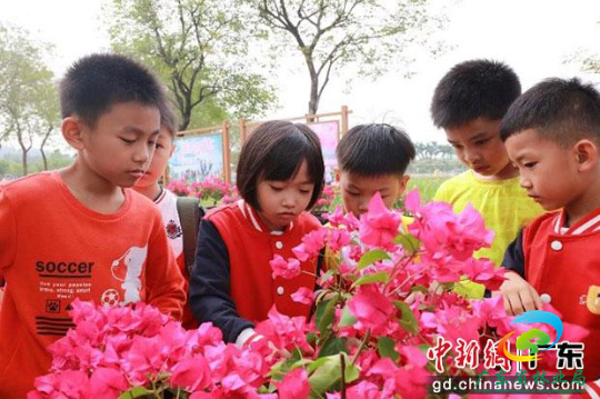 小朋友参与自然教育课程《认识岭南花卉，探索花中仙子-宝巾花》。广东省林业局 供图