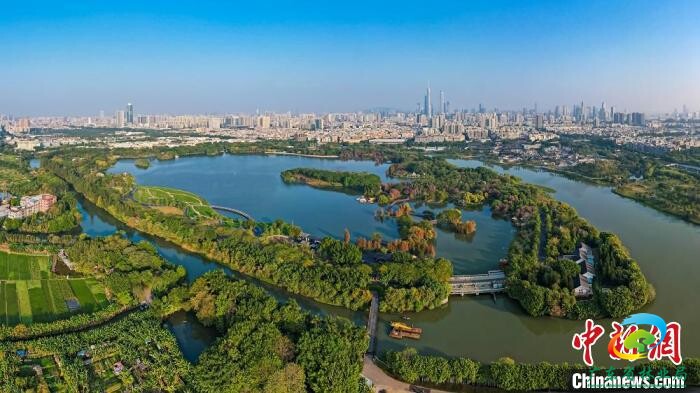 广东广州海珠国家湿地公园 黎清 摄
