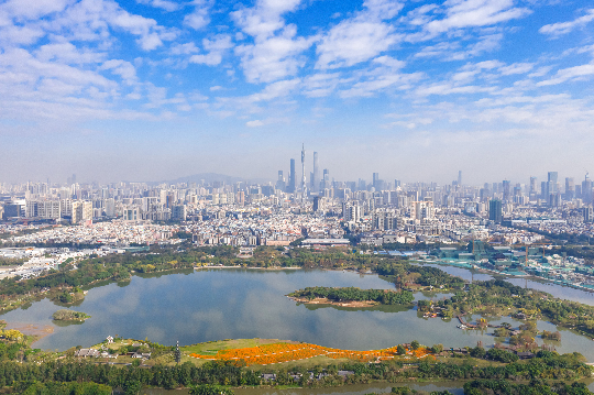 海珠湿地风景.jpg