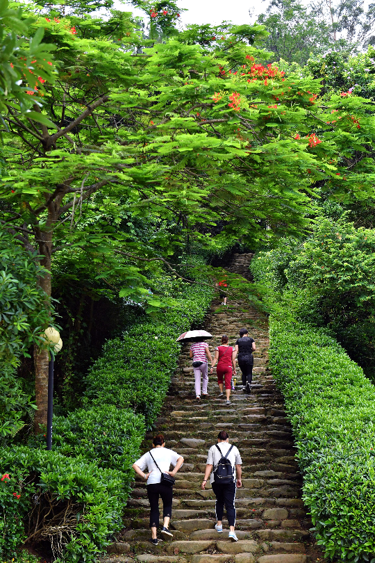 广东南山森林公园登山步道.JPG