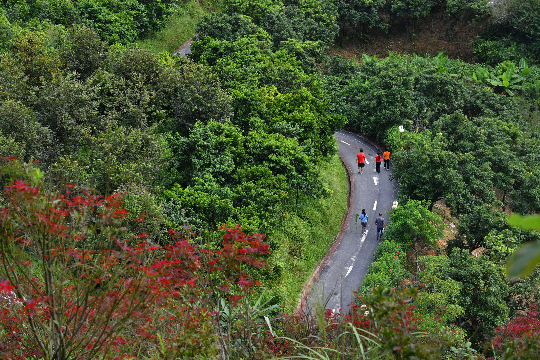 广东南山森林公园植物园闲游天然氧吧.jpg