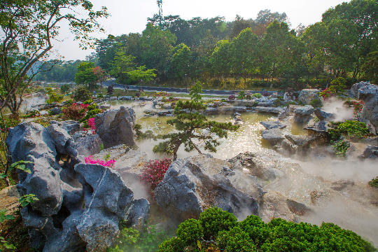 植物园风景图 (2).jpg