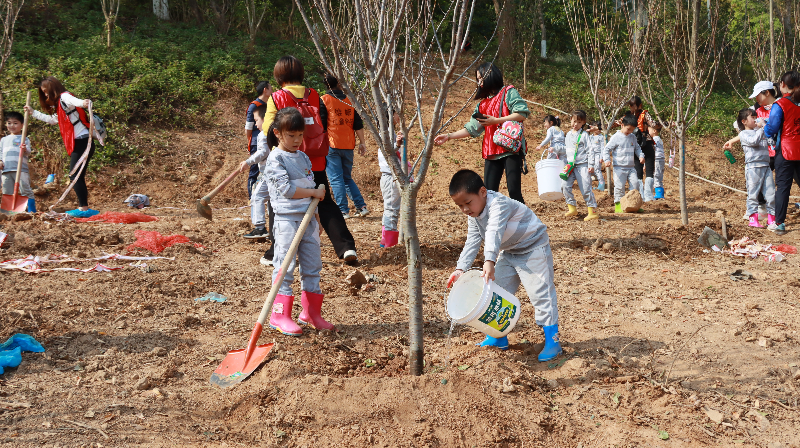 神光山喊你来种树4.JPG