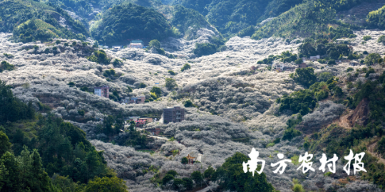 汕尾陆河县梅花海