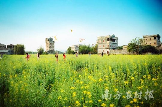 江门开平市自力村内的花海碉楼