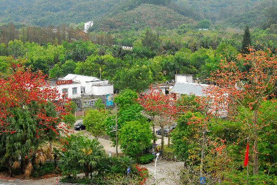 深圳市兰科植物保护研究中心自然教育园区全貌.JPG