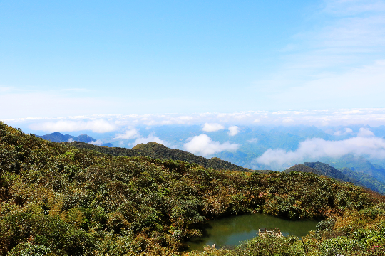 天井主峰（天井、原始山顶矮林）.JPG