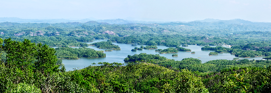 12.孔江湿地全景（基地自然风光）.jpg