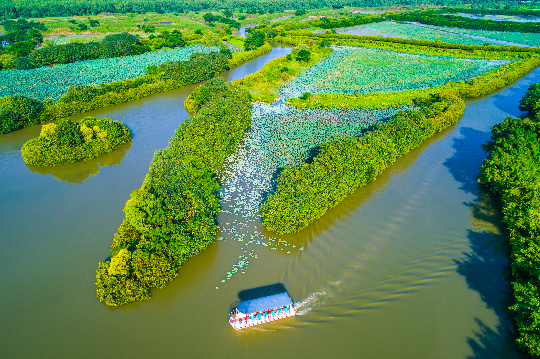 南沙湿地自然教育基地5.jpg