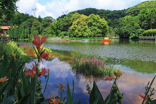 天湖小微湿地.jpg