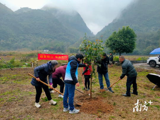 连日来，阳山掀起全民义务植树热潮。