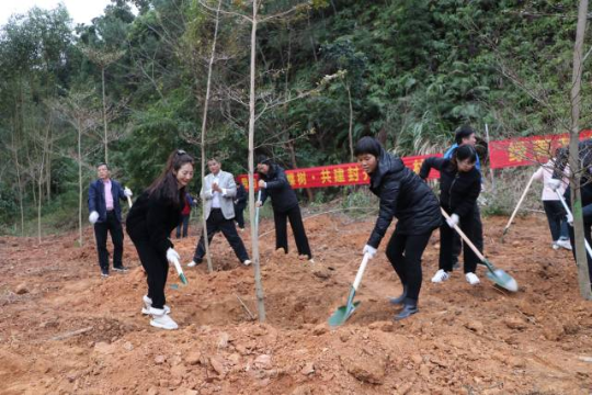 封开县举行春季植树造林活动。封开县融媒体中心 供图